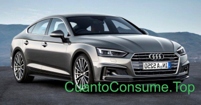 Consumo del Audi A5 Sportback Ambiente 2.0 TFSi 2018