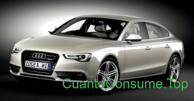 Consumo del Audi A5 Sportback Ambition 2.0 TFSi Quattro 2014