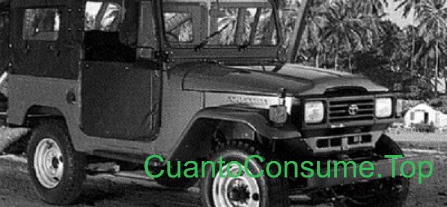 Consumo del Toyota Bandeirante Jipe 3.7 Capota Lona 1994