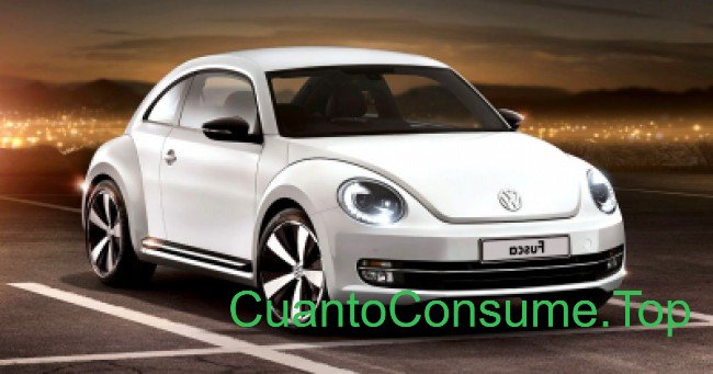 Consumo del Volkswagen Fusca 2.0 TSi DSG 2016