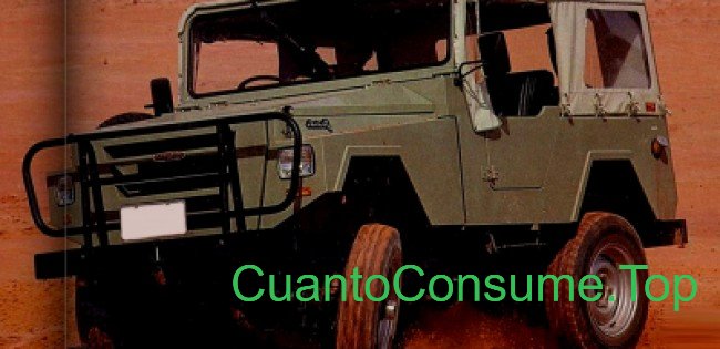 Consumo del CBT Javali 2.9 Turbodiesel 4x4 1990